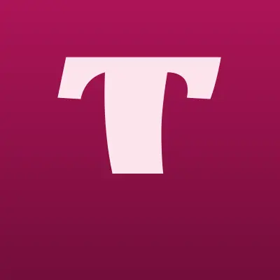 Тамбовская сетевая компания, лого-визитка