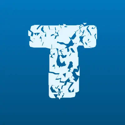 Тамбовская сетевая компания, лого-визитка